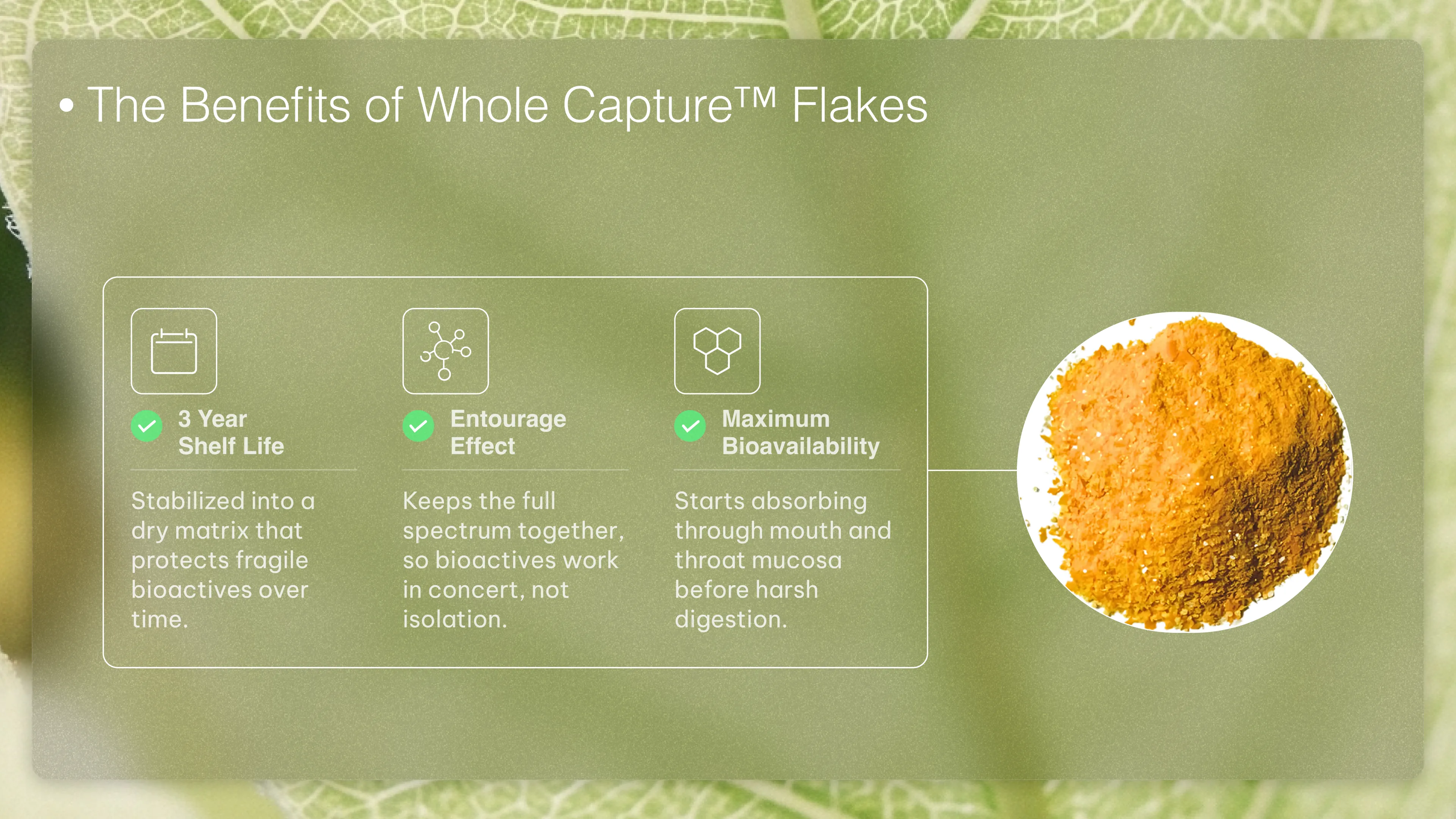 Whole Capture slide 4